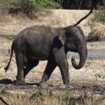 sri lanka op reis, inspiratie excursies en reistips