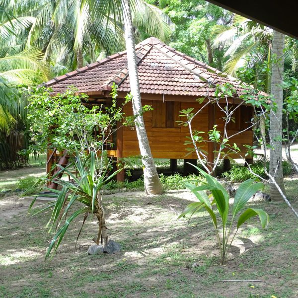 cabana op het strand bij Tangalle Sri Lanka
