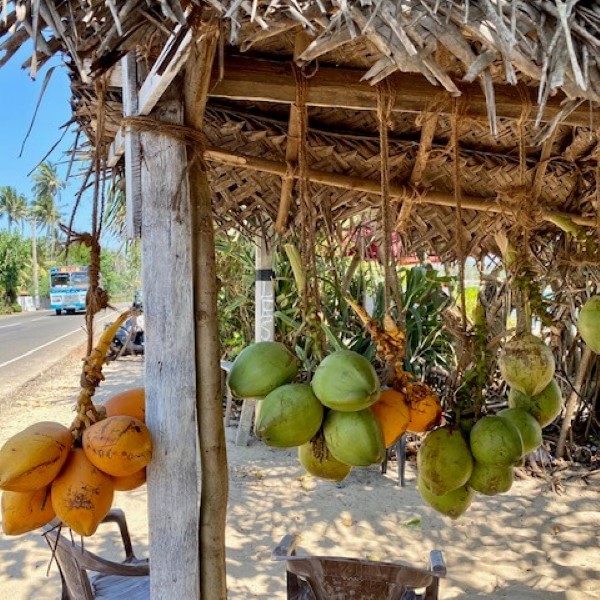 reizen 2021 slow travel sri lanka