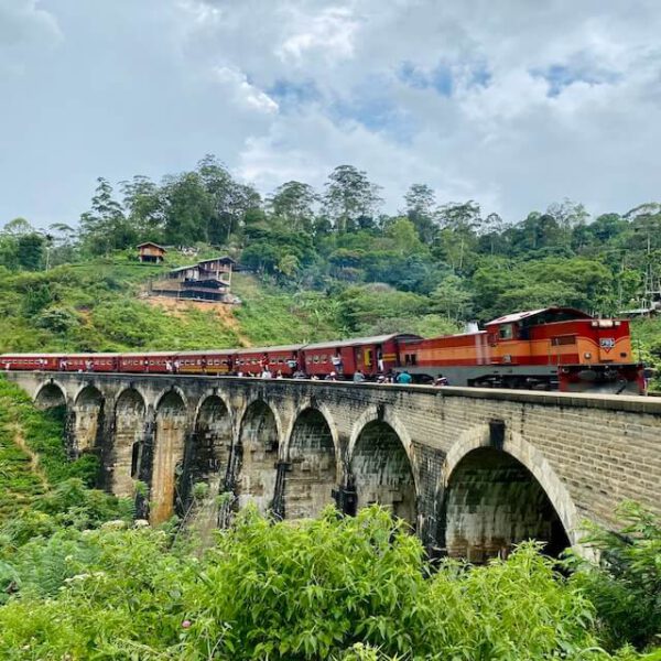 trein op nine arch brug in Sri Lanka