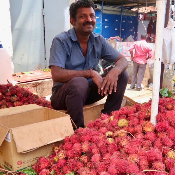 lokale markt in jaffna