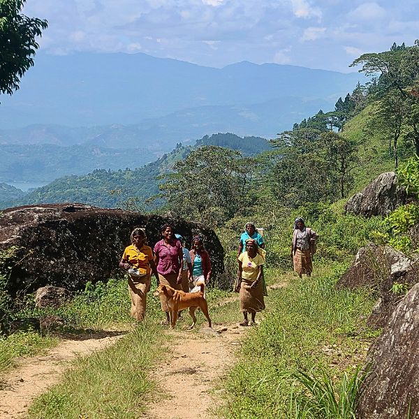 lokale mensen sri lanka